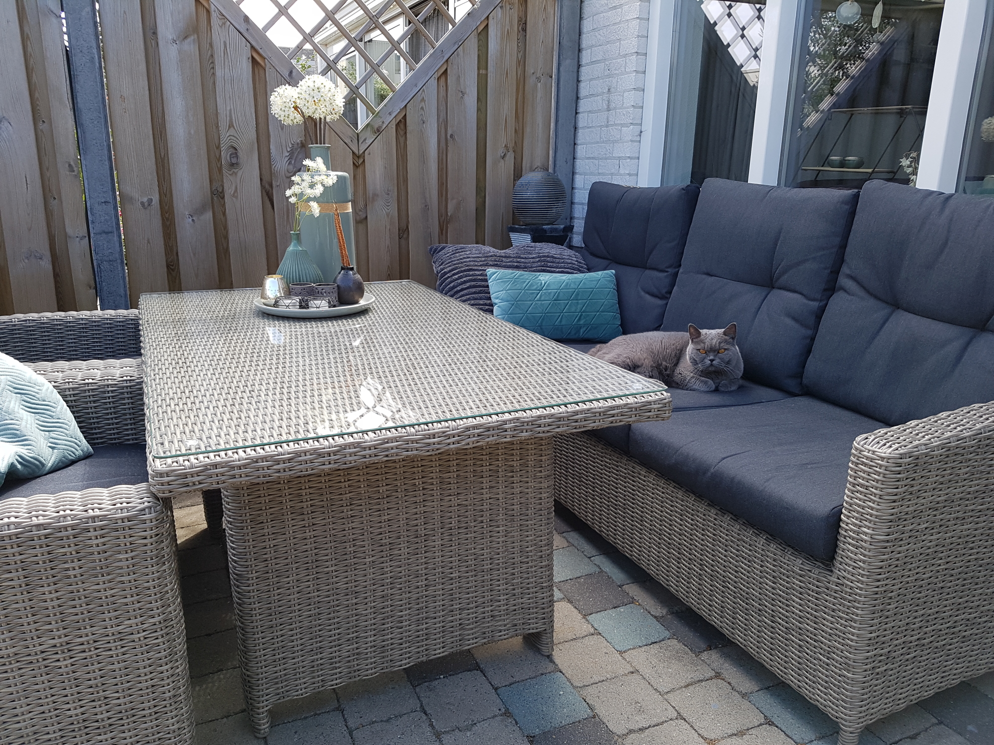 Ook de poes is blij met het nieuwe loungeset!