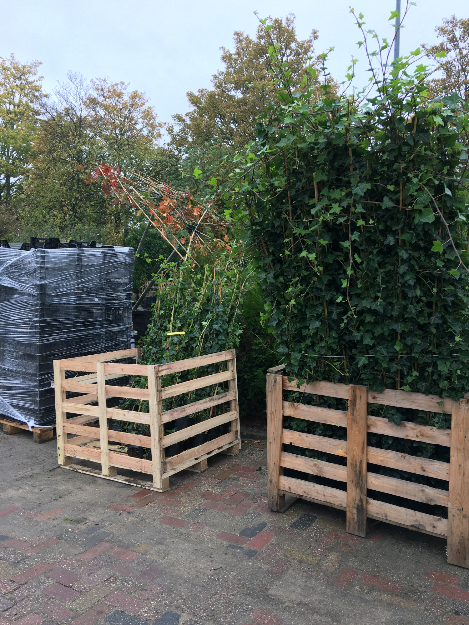 Tuinen aanplanten