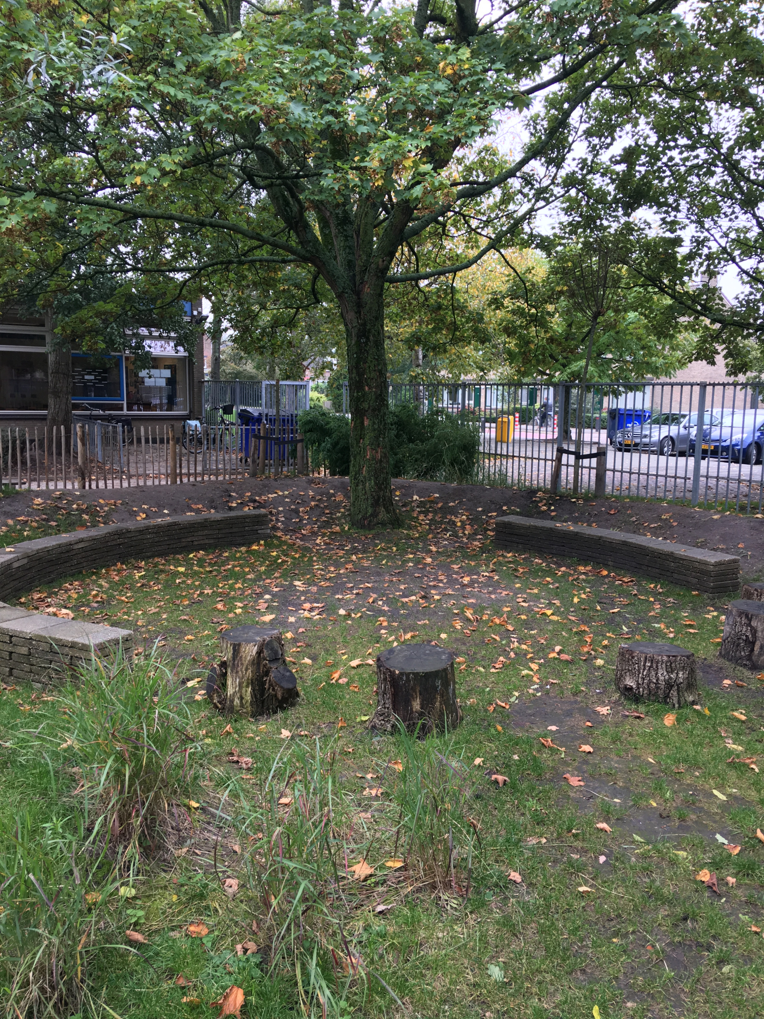Groen schoolplein bij OBS De Noord in Ridderkerk