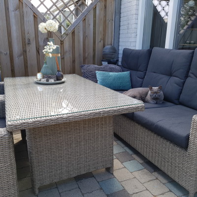 Ook de poes is blij met het nieuwe loungeset!