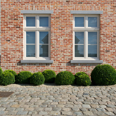 Project Zoutleeuw