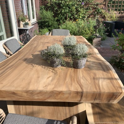 Wij genieten van deze 'boom' van een tafel