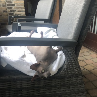 Hier lig ik dan in de mooie stoel 🪑 voor ieder wat wils