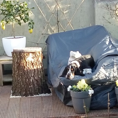 Wachten op de zomer...