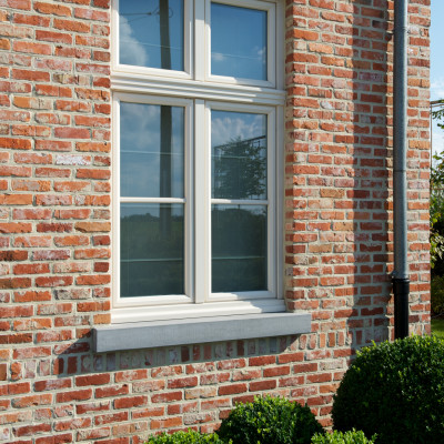 Project Zoutleeuw