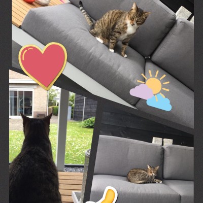 Onze kat geniet er in ieder geval al van, nu wij nog ?