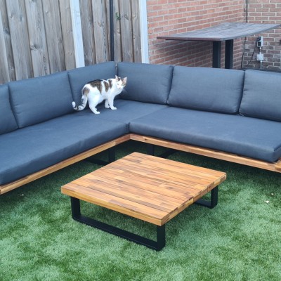 Kattencomfort