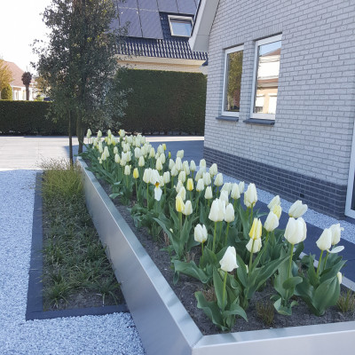 Moderne tuin