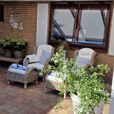 We zijn net verhuisd en nog bezig met de tuin