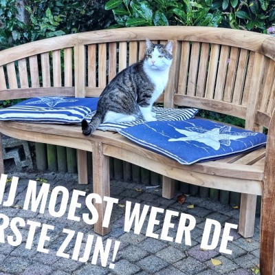 Bananenbank uitgepakt, kussens erop en ... jawel!