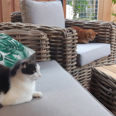 Chillen in de tuin