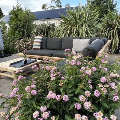 Deze prachtige en volledig uit teak hout vervaardigde Lounge set