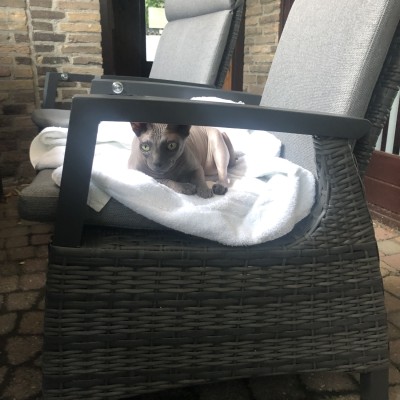 Hier lig ik dan in de mooie stoel 🪑 voor ieder wat wils