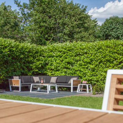 Een gouden keuze voor in onze tuin!