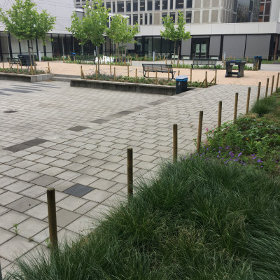 Bloeiende tuin bij scholengemeenschap in Rotterdam