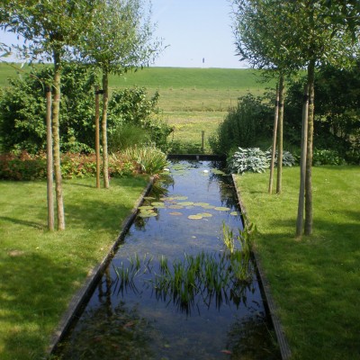 Landelijke tuin met vijver