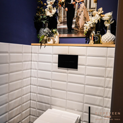 Moderne badkamer en toilet