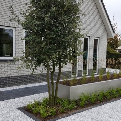 Moderne tuin