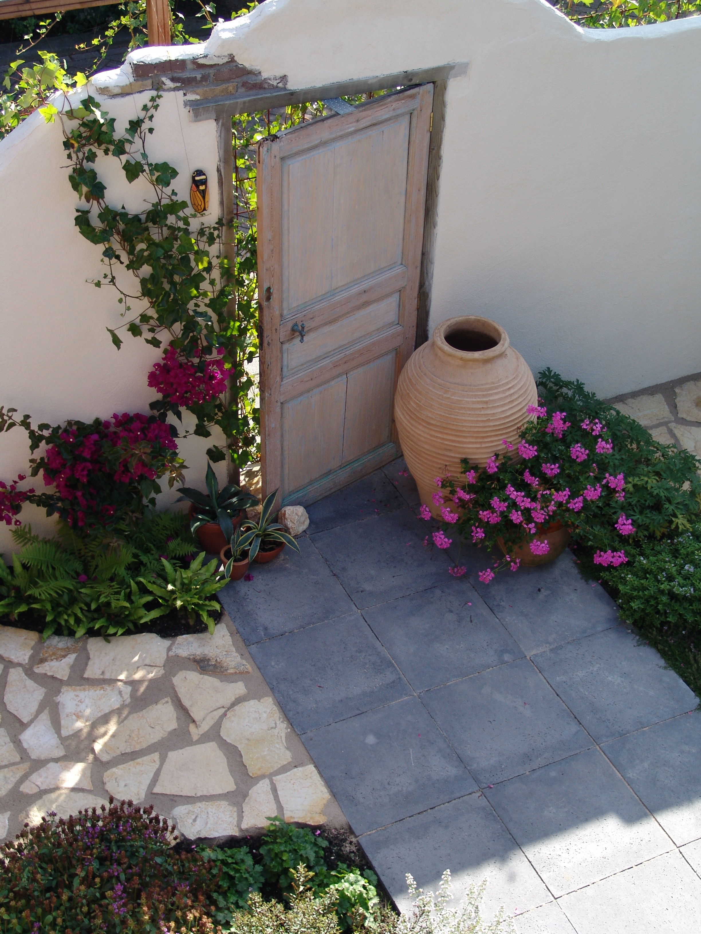 Mediterrane tuin