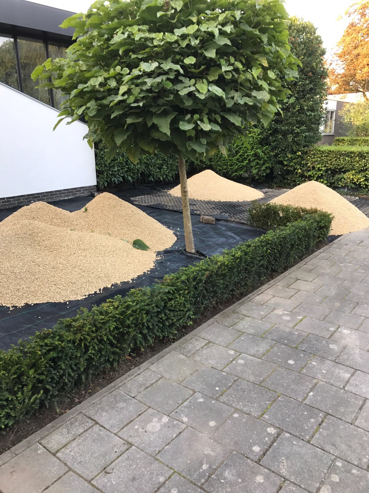 Voortuin 4