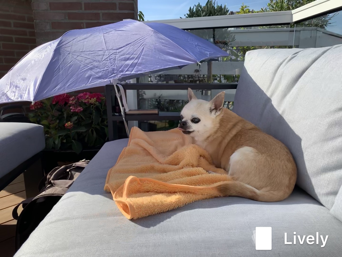 Lekker chillen op mijn Lounge Bank, gekocht bij AVH Outdoor Tuinmeubelen!!