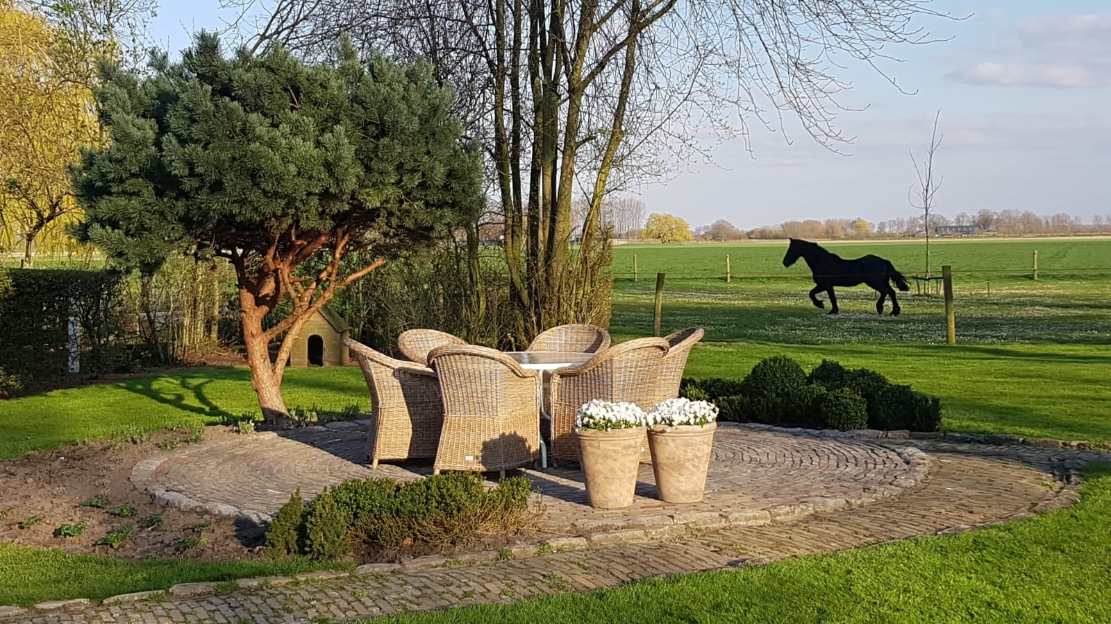 Prachtige nieuwe stoelen voor ons gepimpte terras!