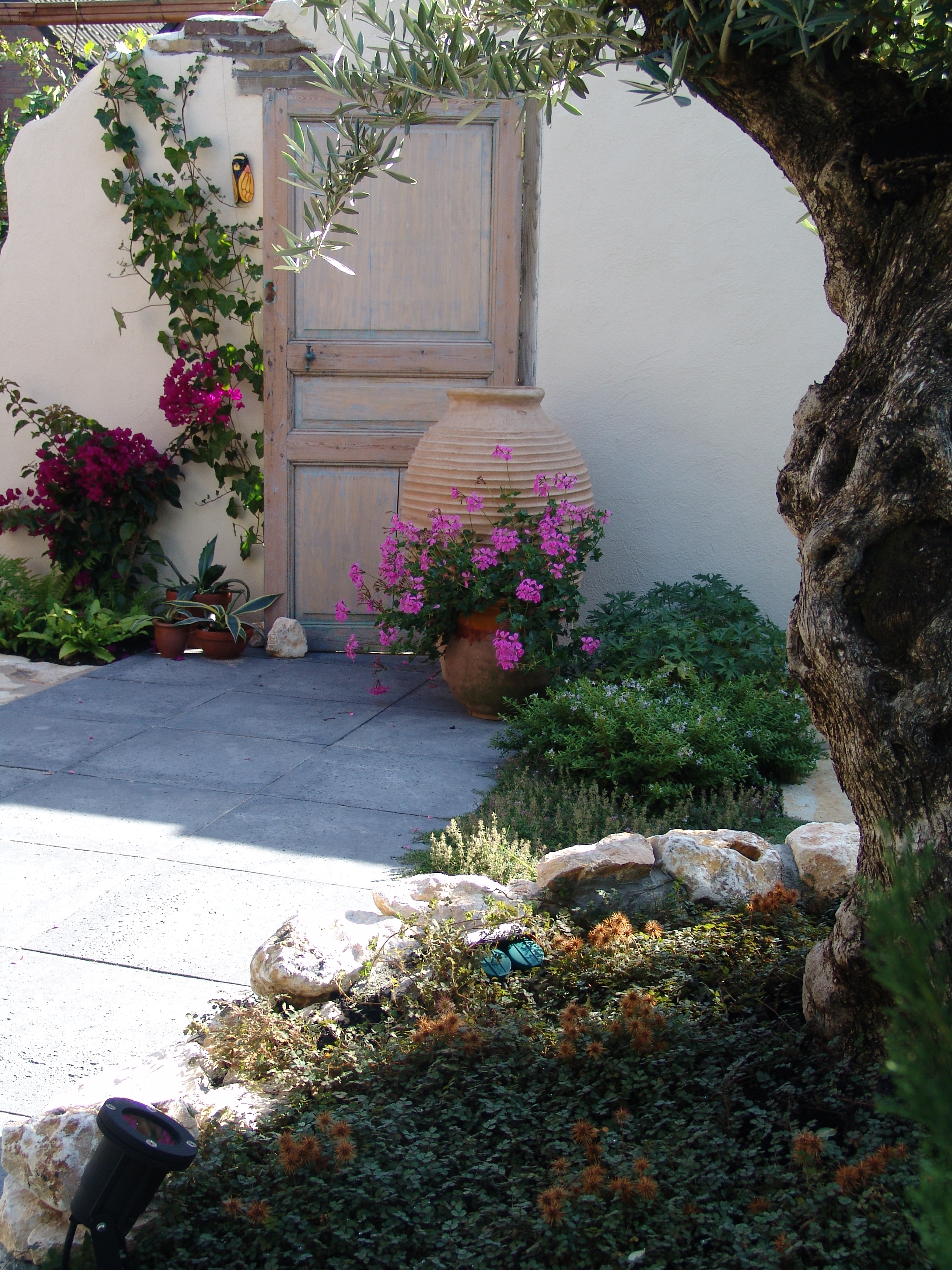 Mediterrane tuin