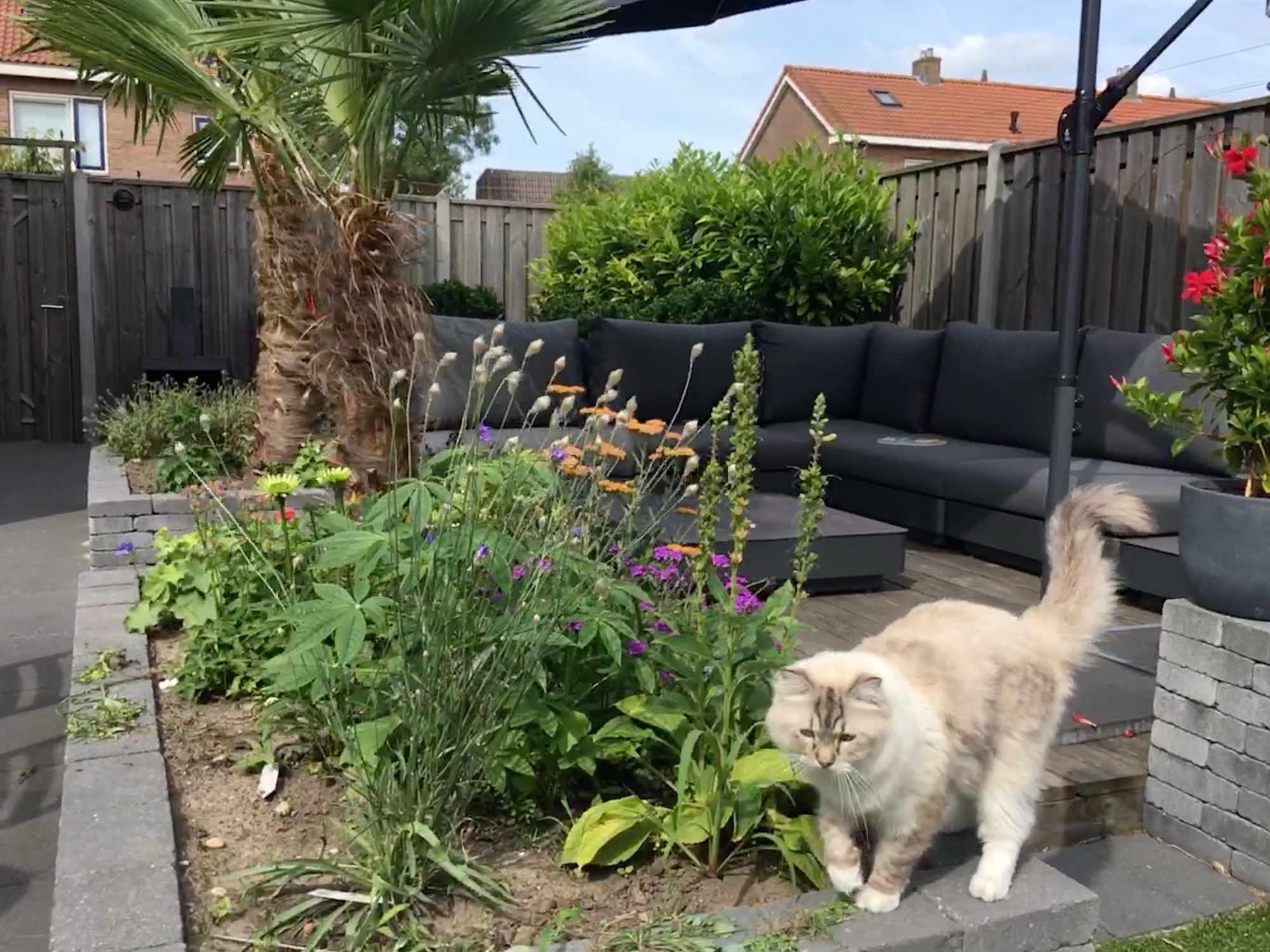 Geweldig! We waren al een hele tijd op zoek naar een loungeset.
