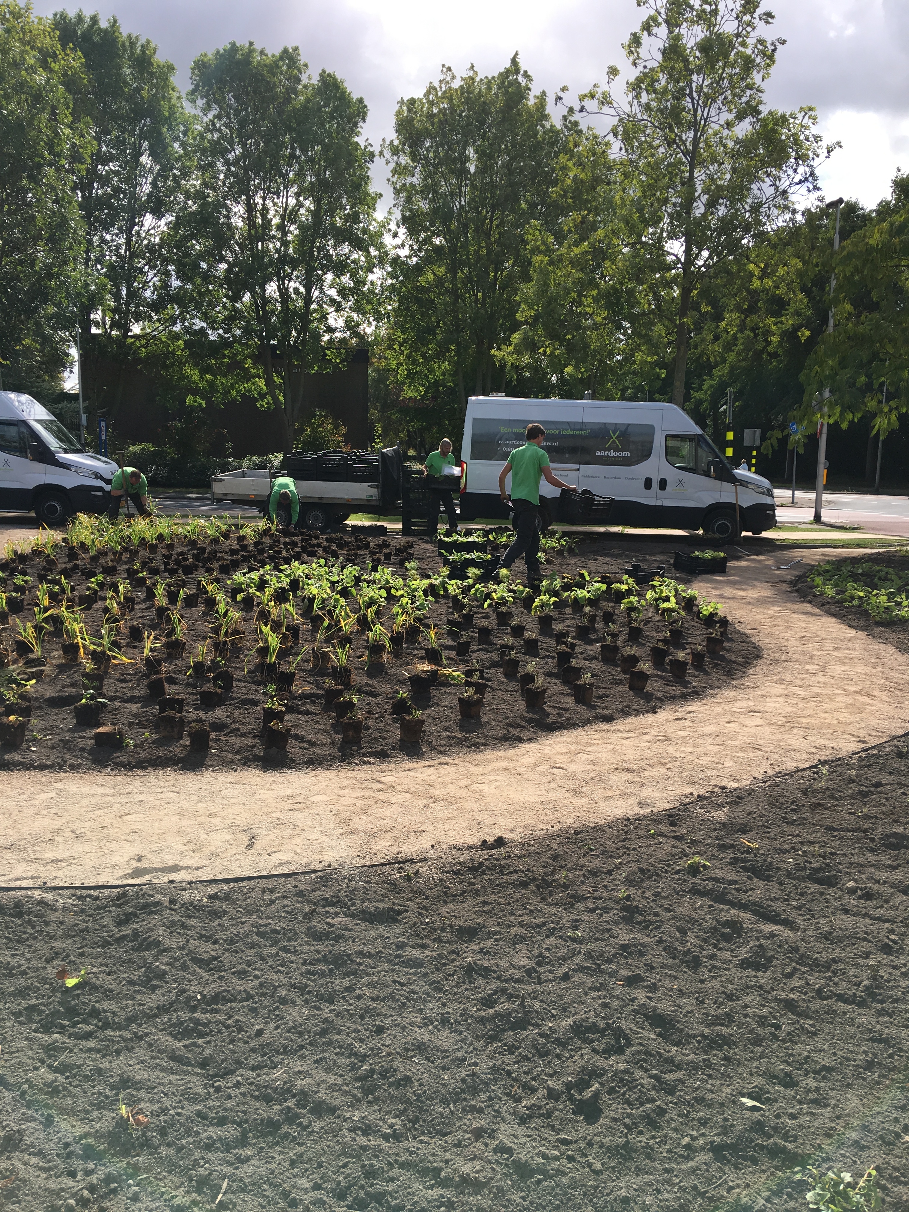 Green-to-Colour beplanting 01