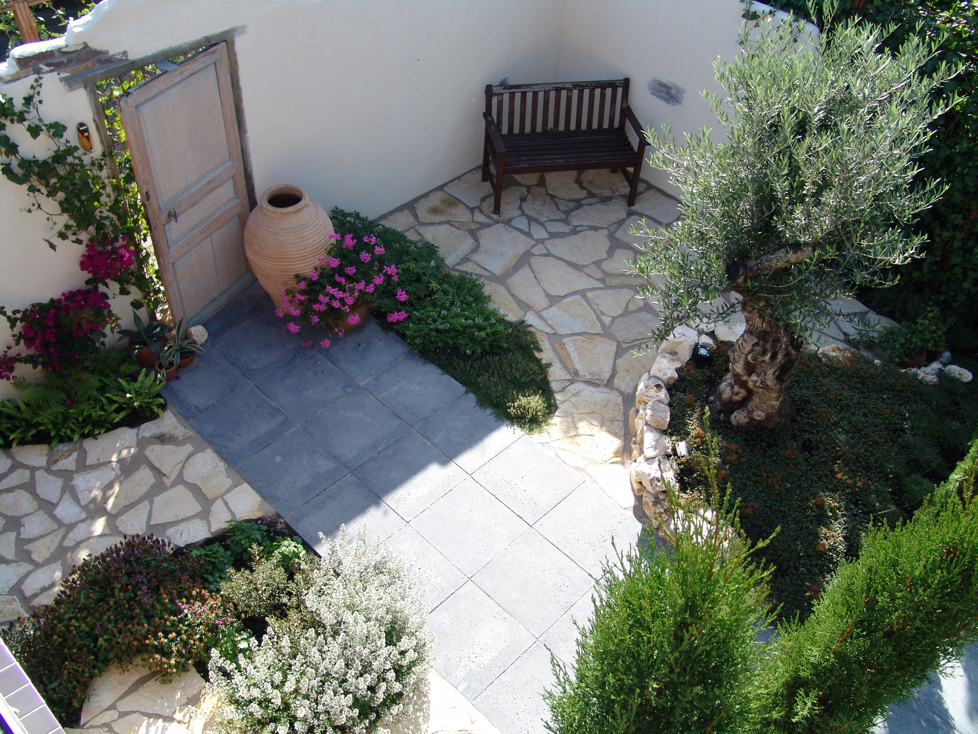 Mediterrane tuin