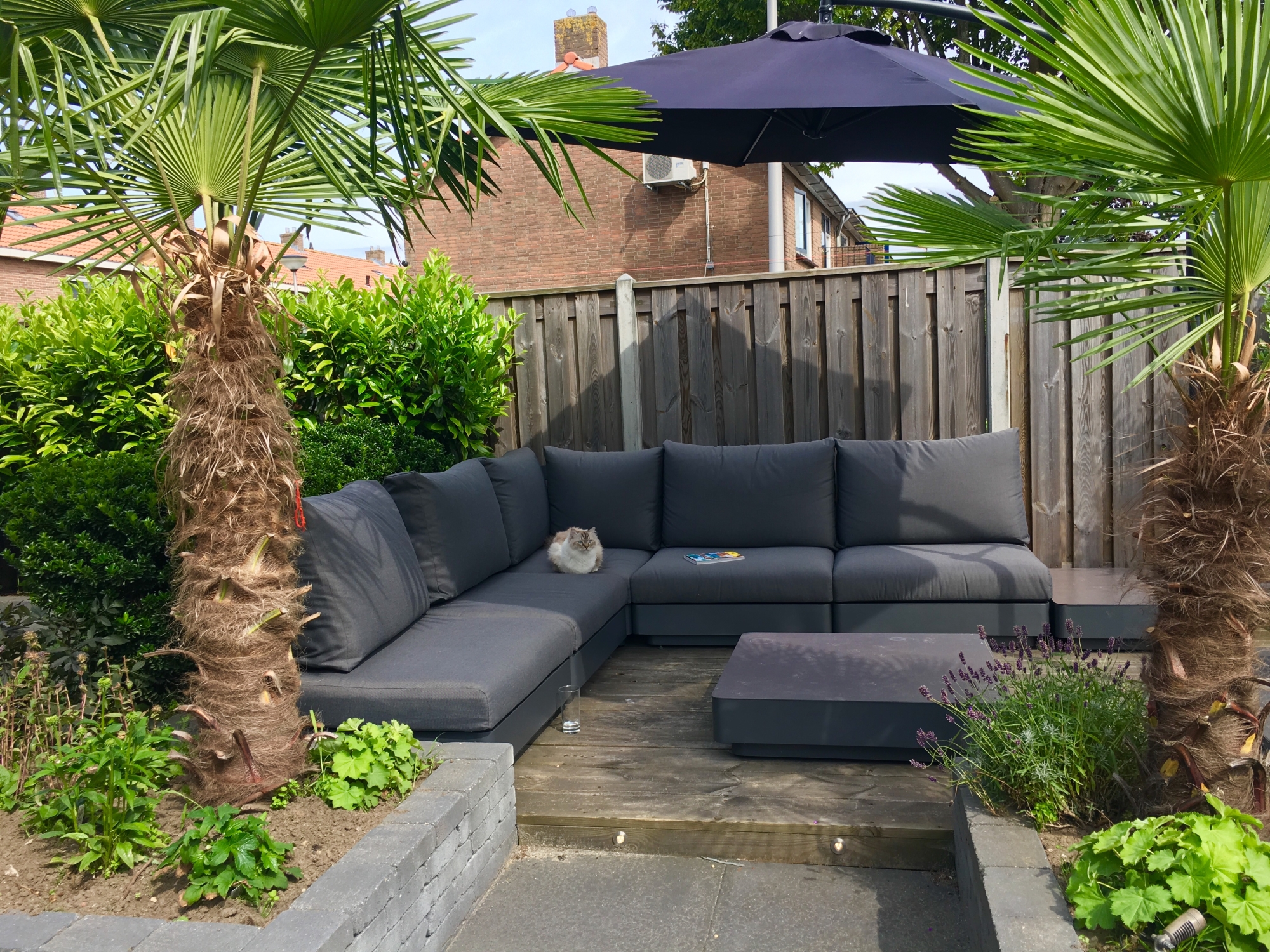 Wij genieten enorm van de zomer met dit waanzinnige loungeset!