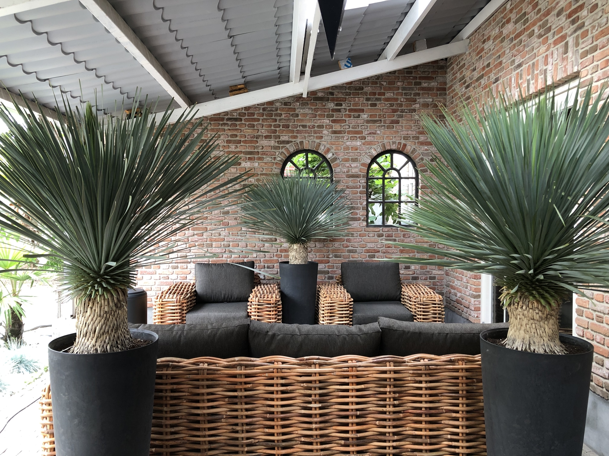 Stukje Bali in achtmaal!!🤩