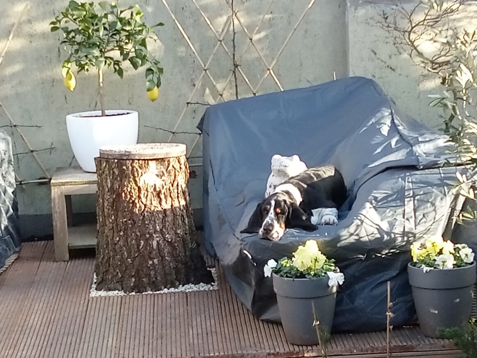 Wachten op de zomer...