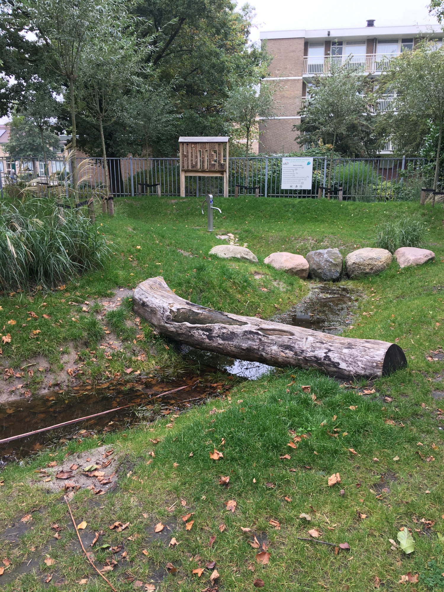 Groen schoolplein bij OBS De Noord in Ridderkerk