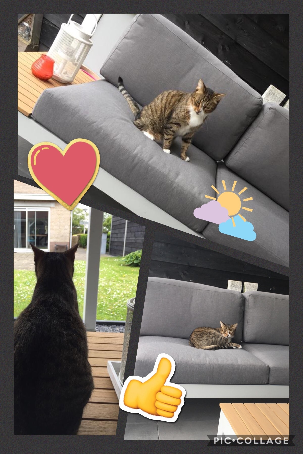 Onze kat geniet er in ieder geval al van, nu wij nog 😍