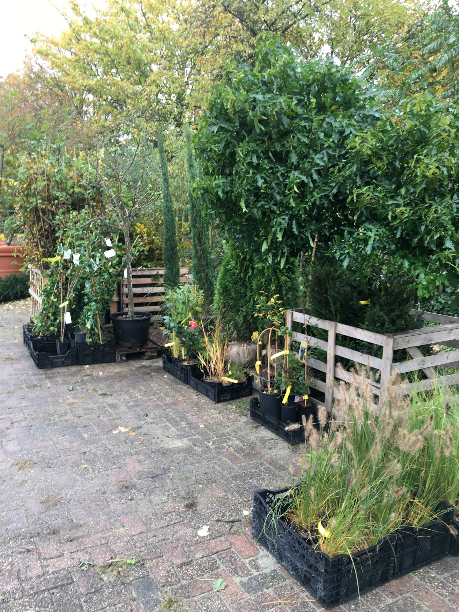 Tuinen aanplanten