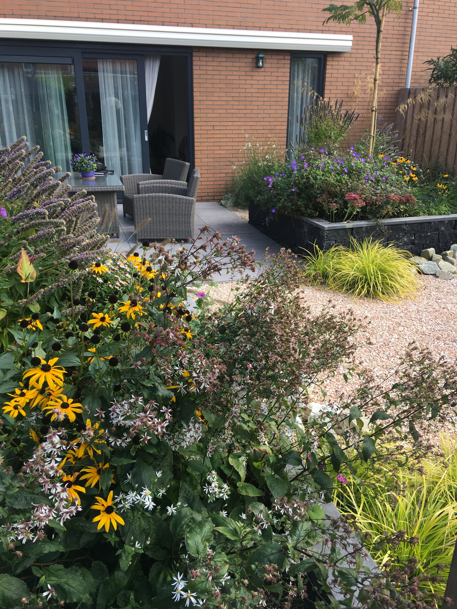 Onderhoudsvriendelijke tuin