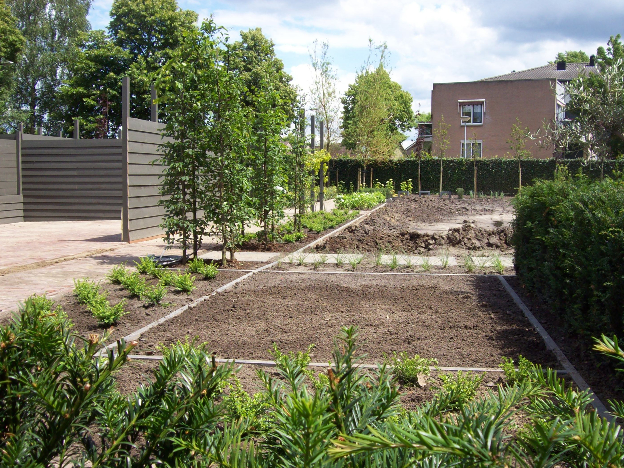 Moestuin 2