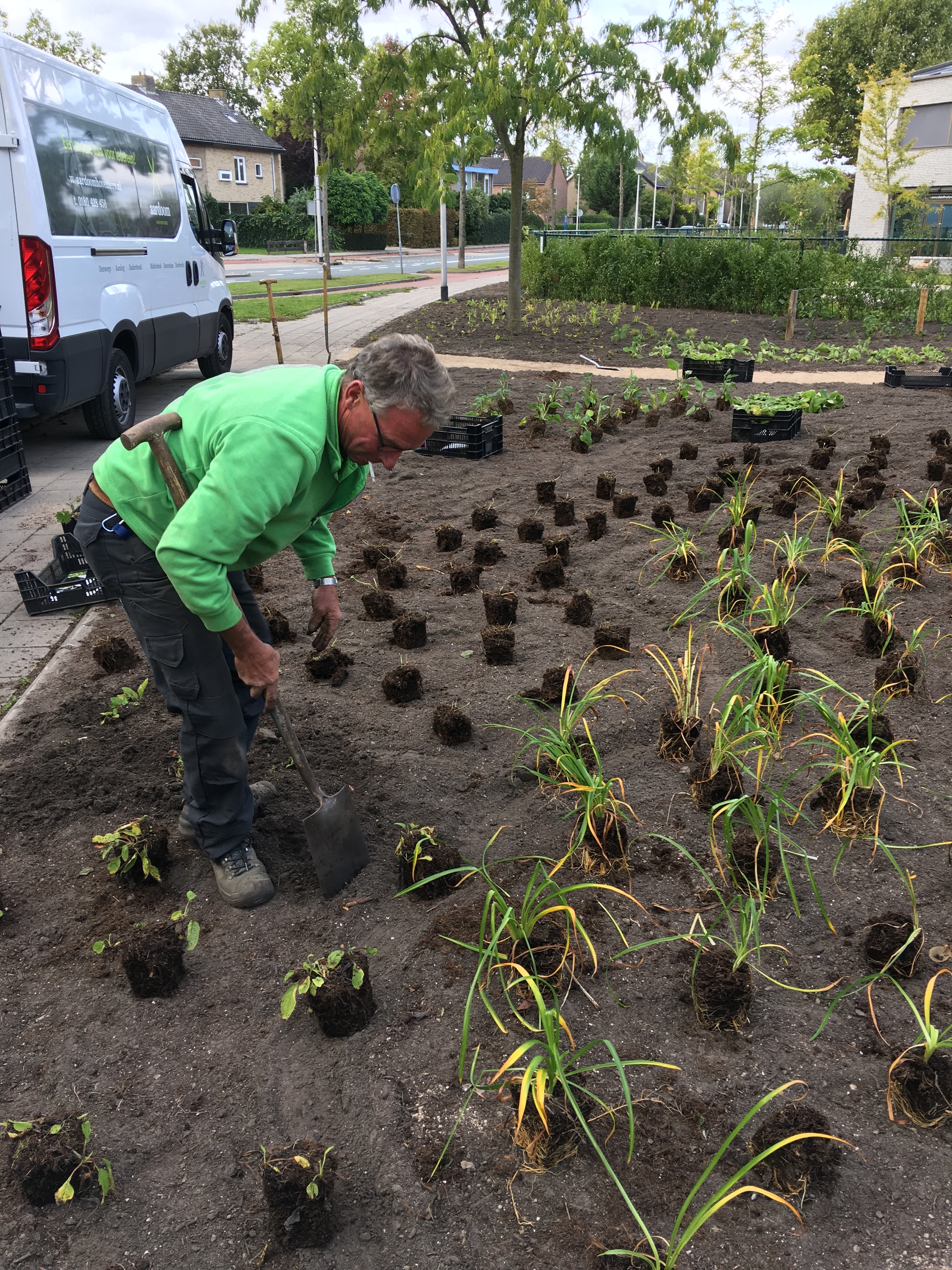 Green-to-Colour beplanting 05