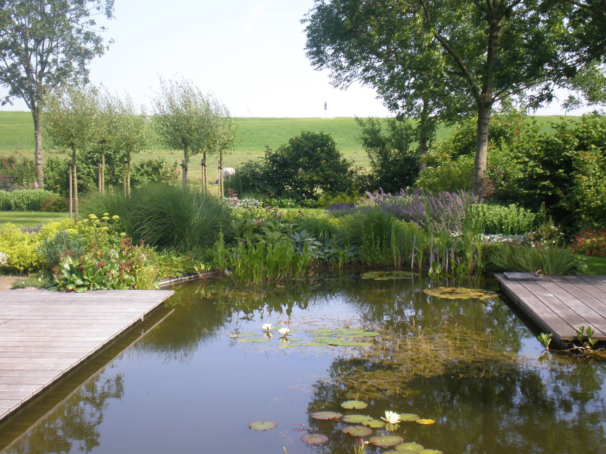 Landelijke tuin met vijver
