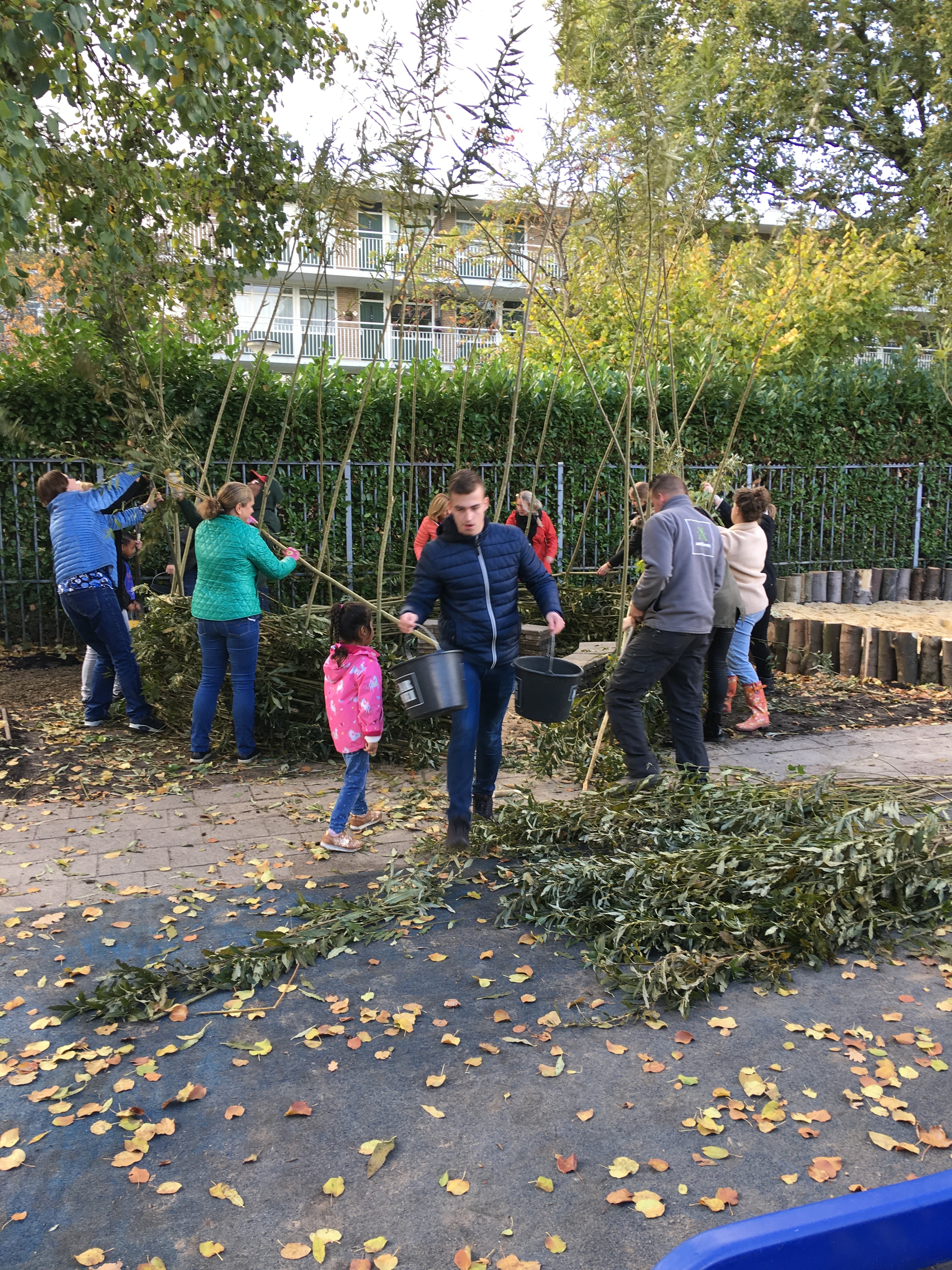 Groen schoolplein in de maak - wilgenhut
