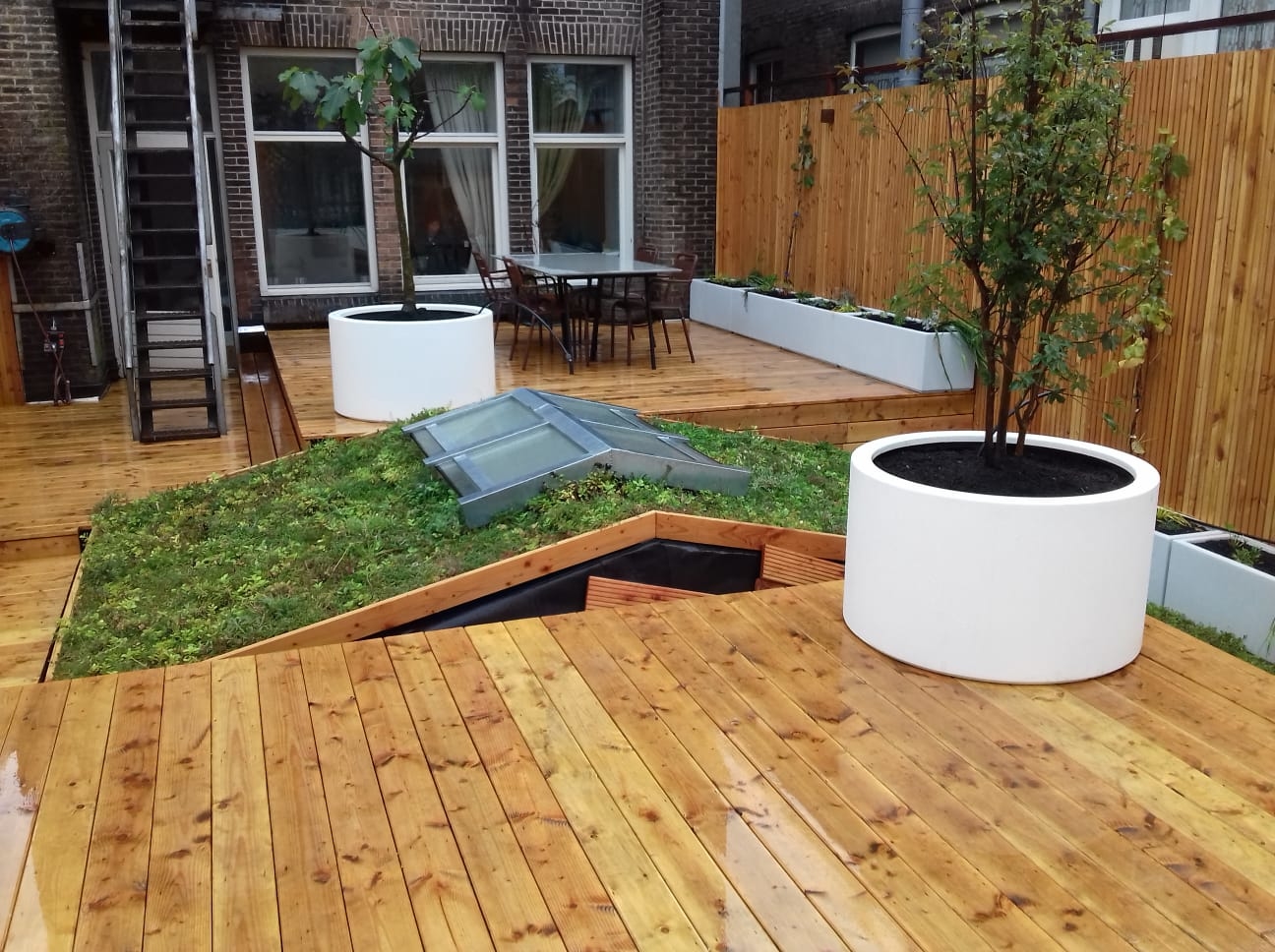 Daktuin Rotterdam 02