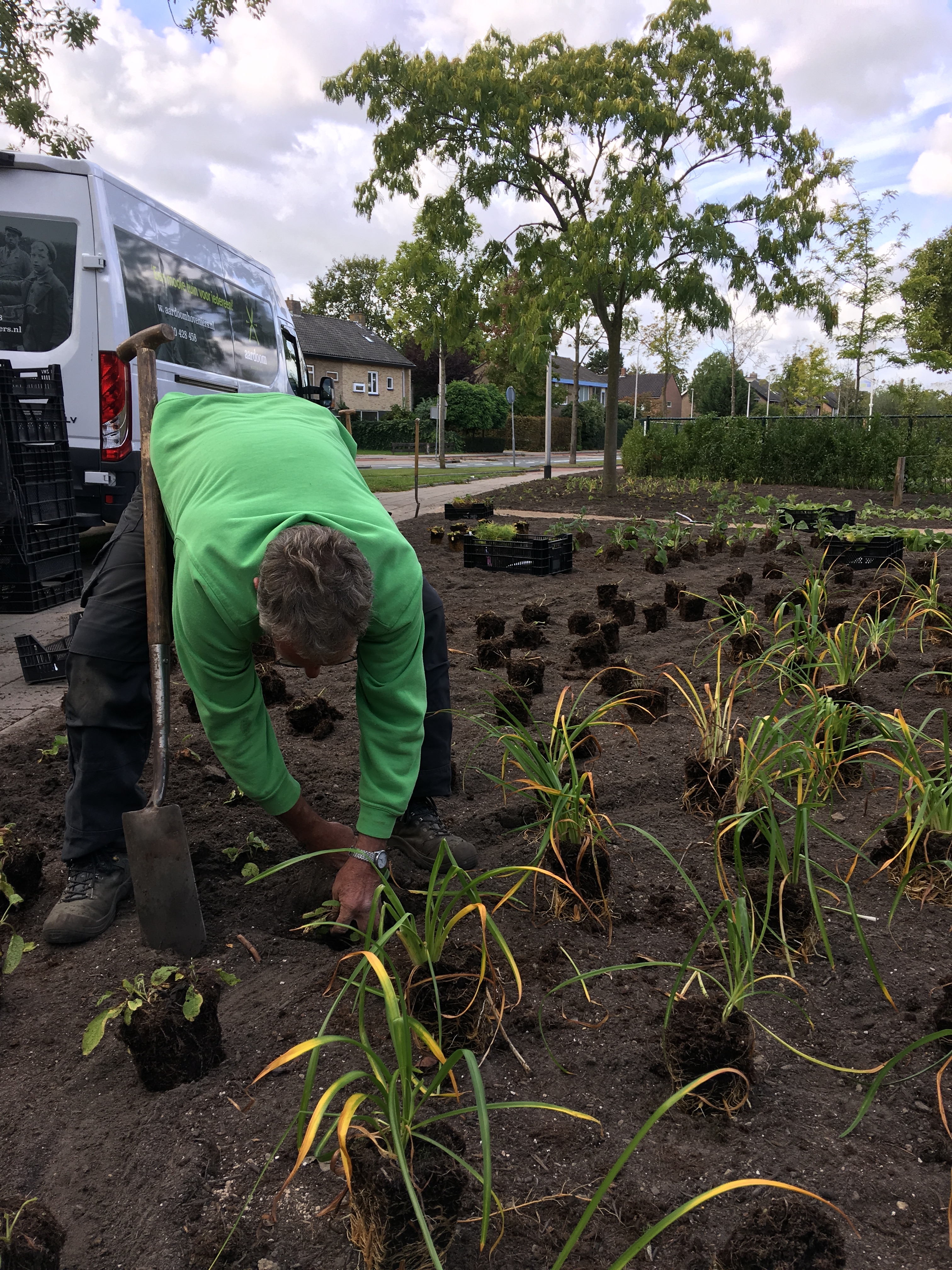 Green-to-Colour beplanting 04