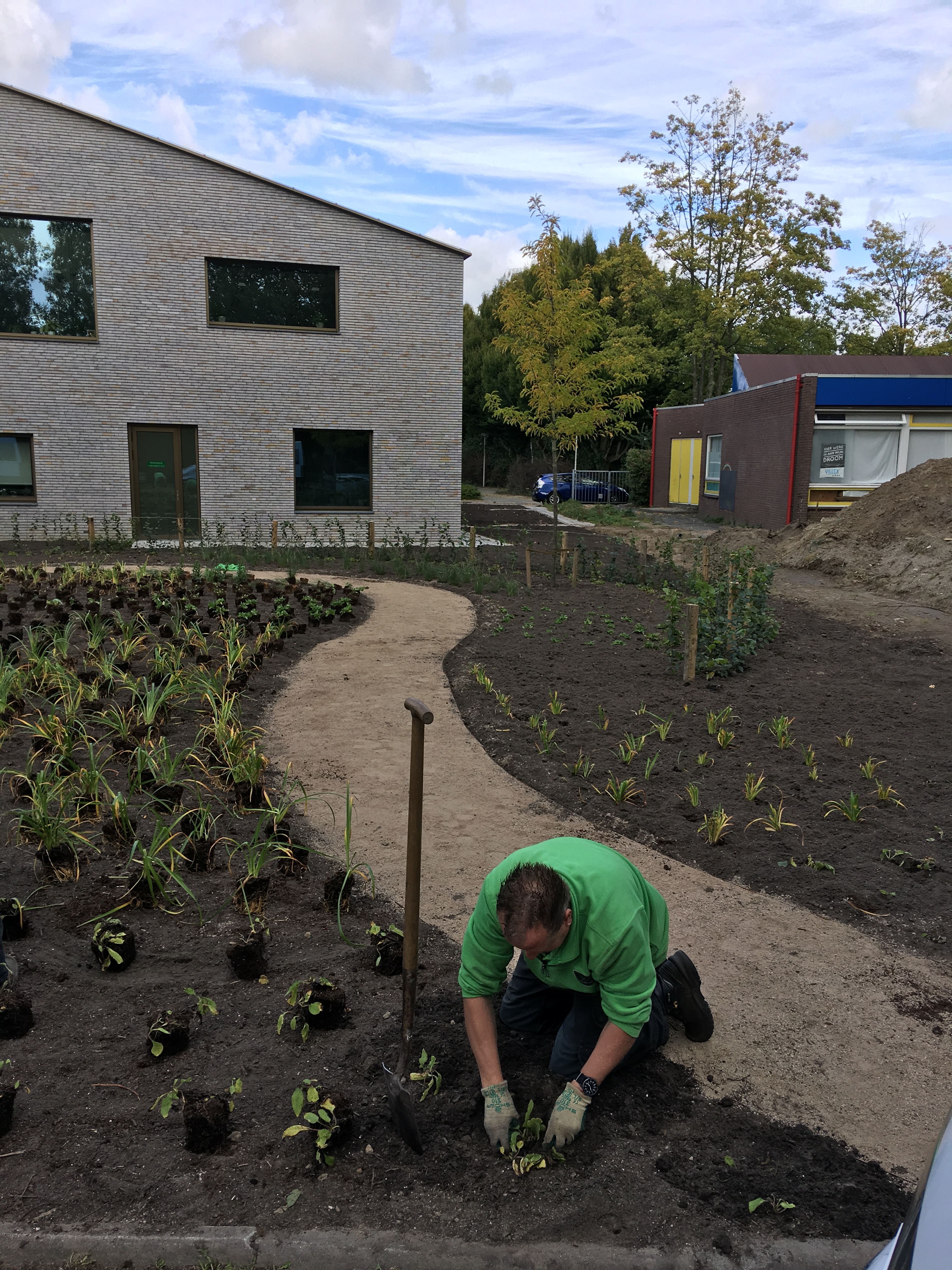Green-to-Colour beplanting 06