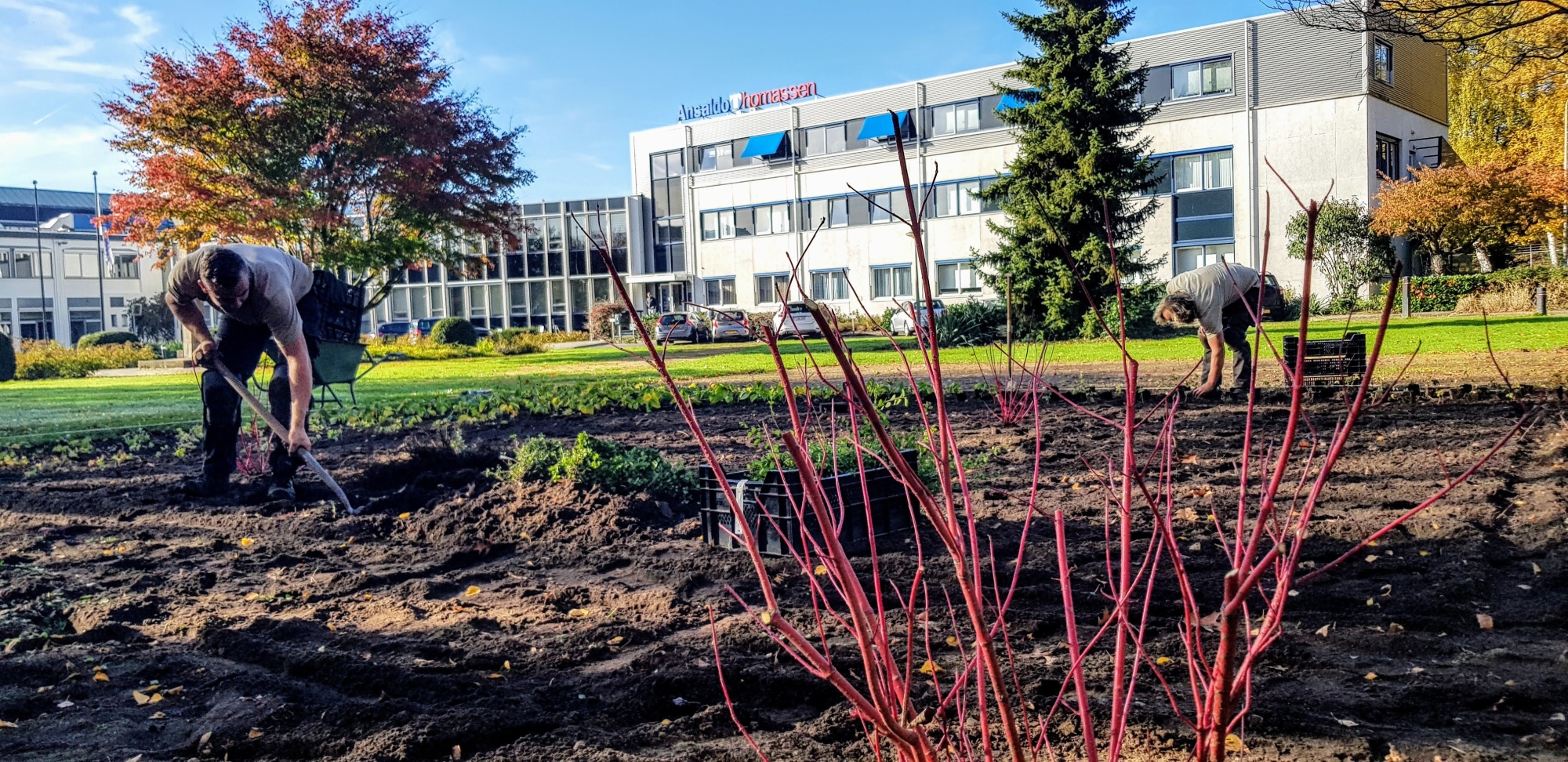 Plantwerk in Rheden