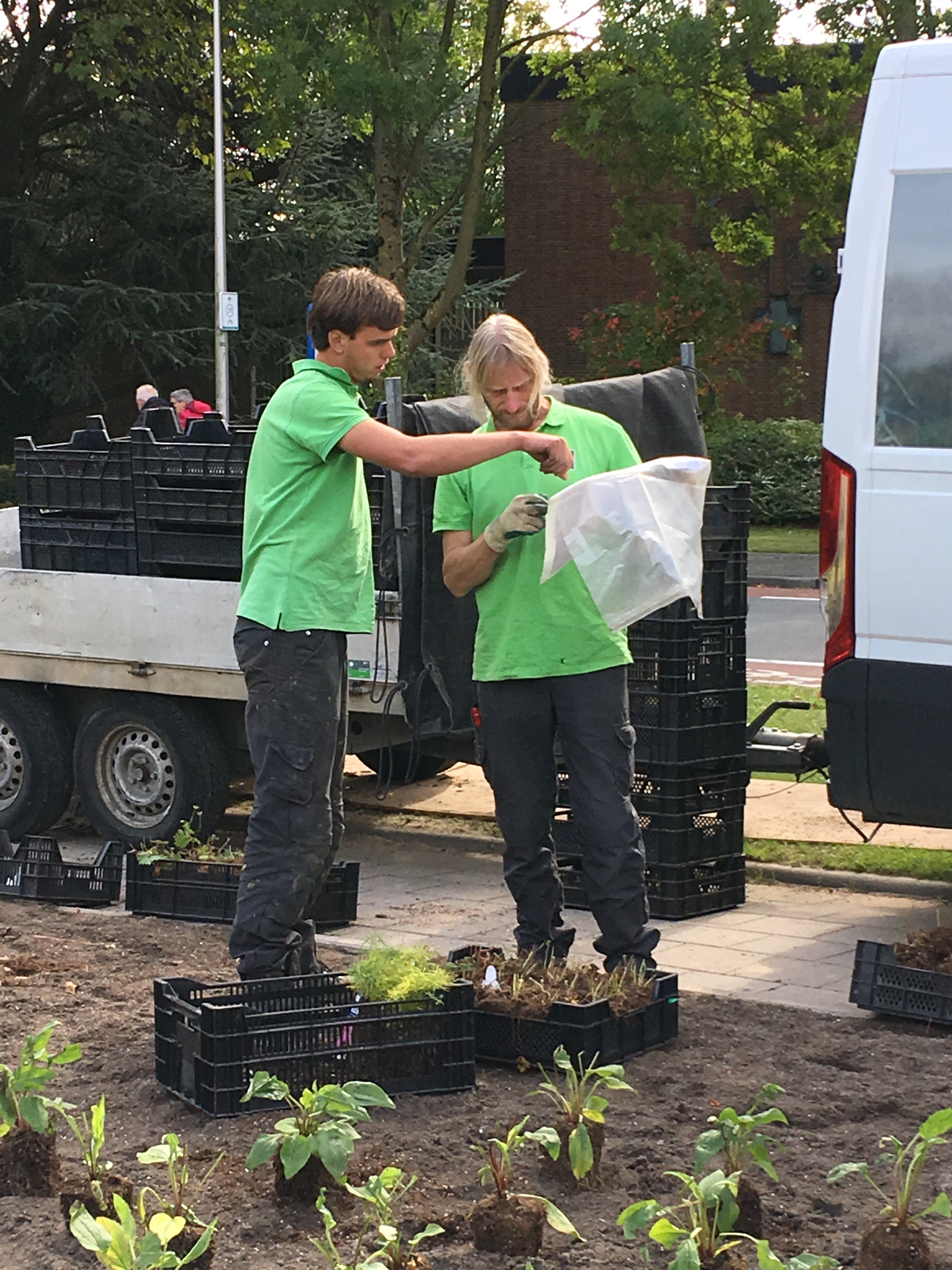 Green-to-Colour beplanting 02