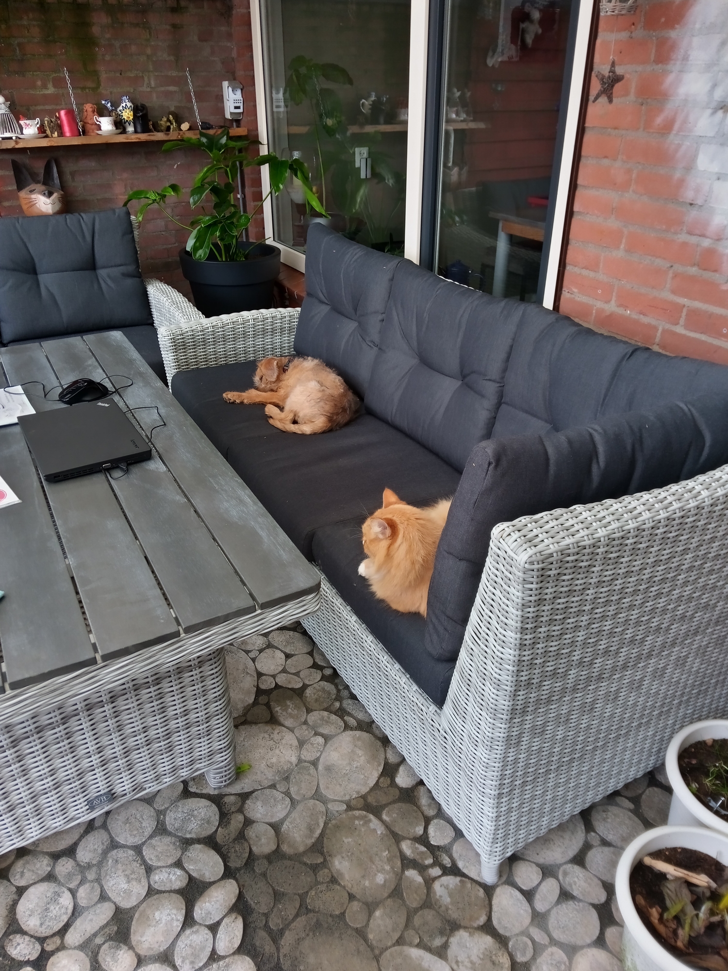 Gelijk uit proberen de nieuwe tuin meubels.
