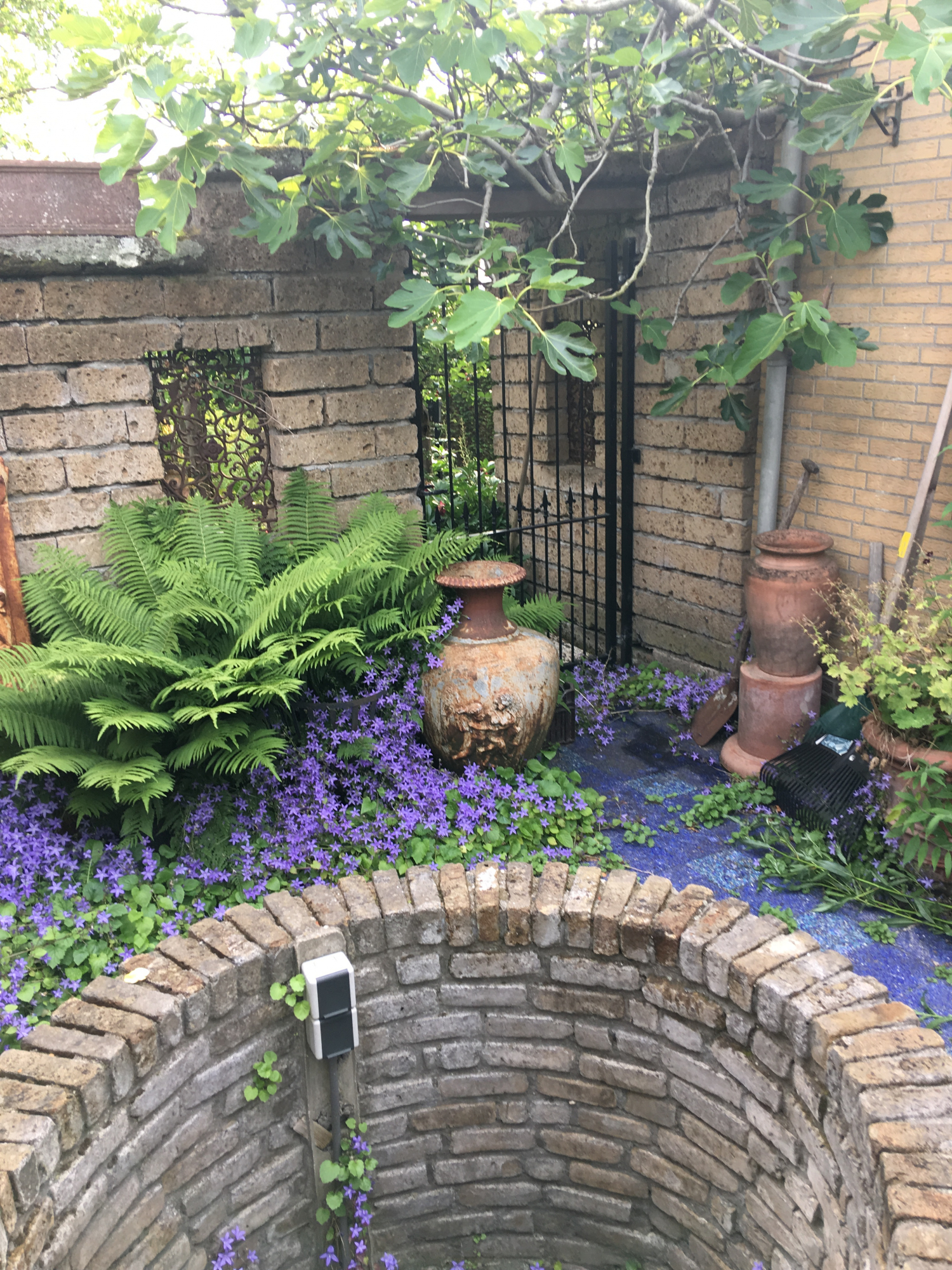 Deze mediterrane tuin met waterput ligt in de Randstad