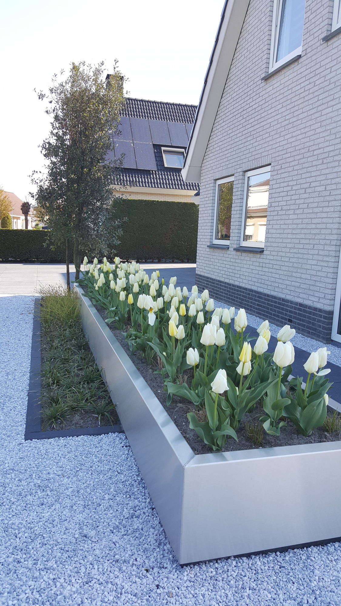 Moderne tuin