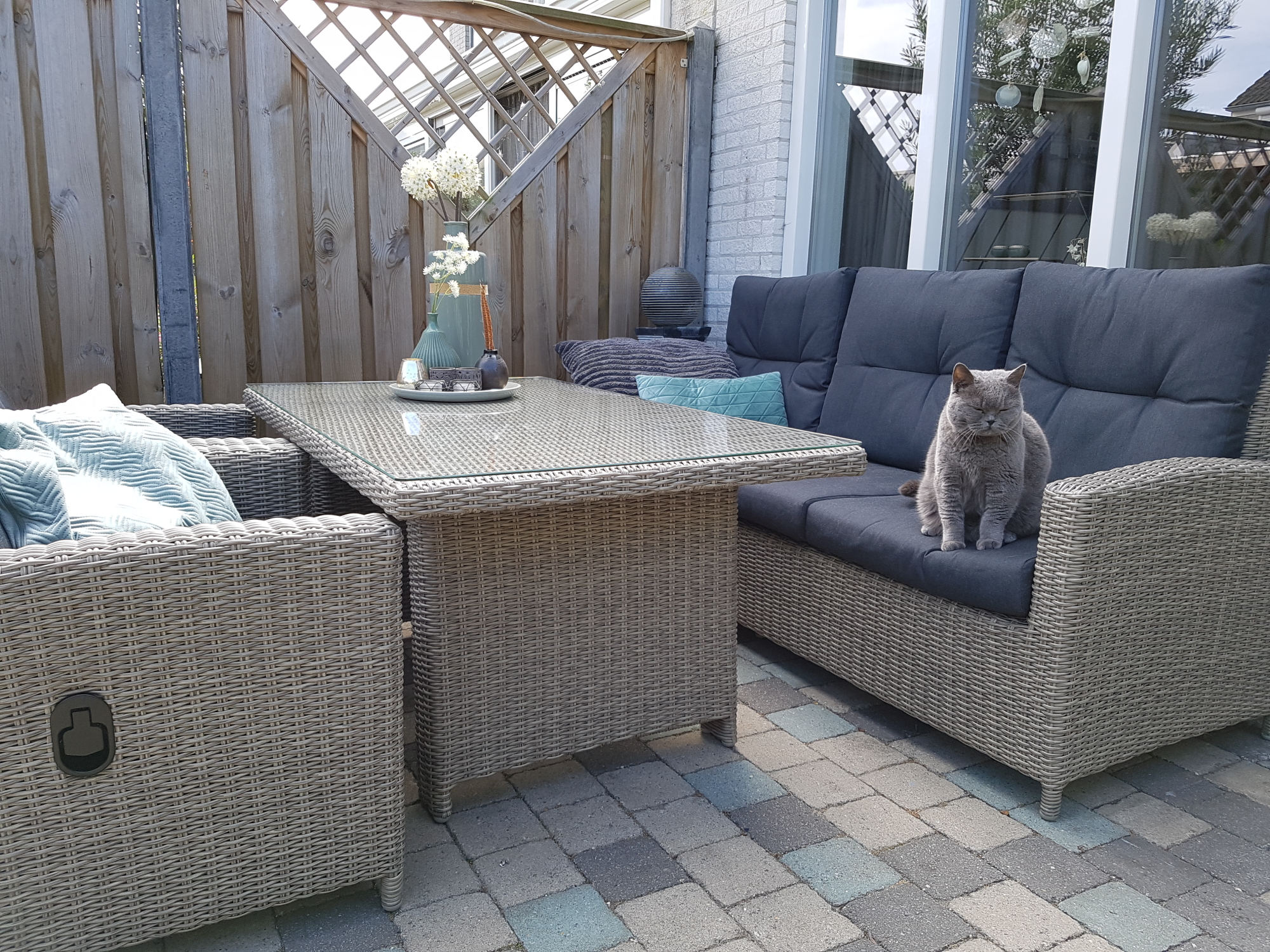 Ook de poes is blij met het nieuwe loungeset!